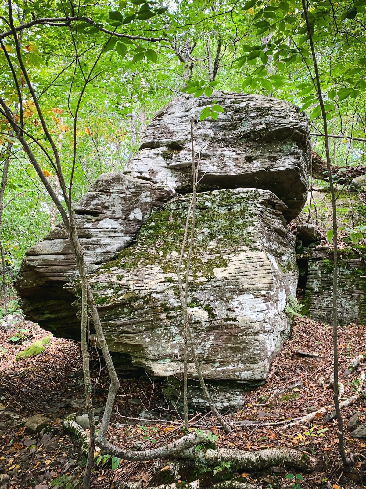 Balsam Mountain lean-to and camping area