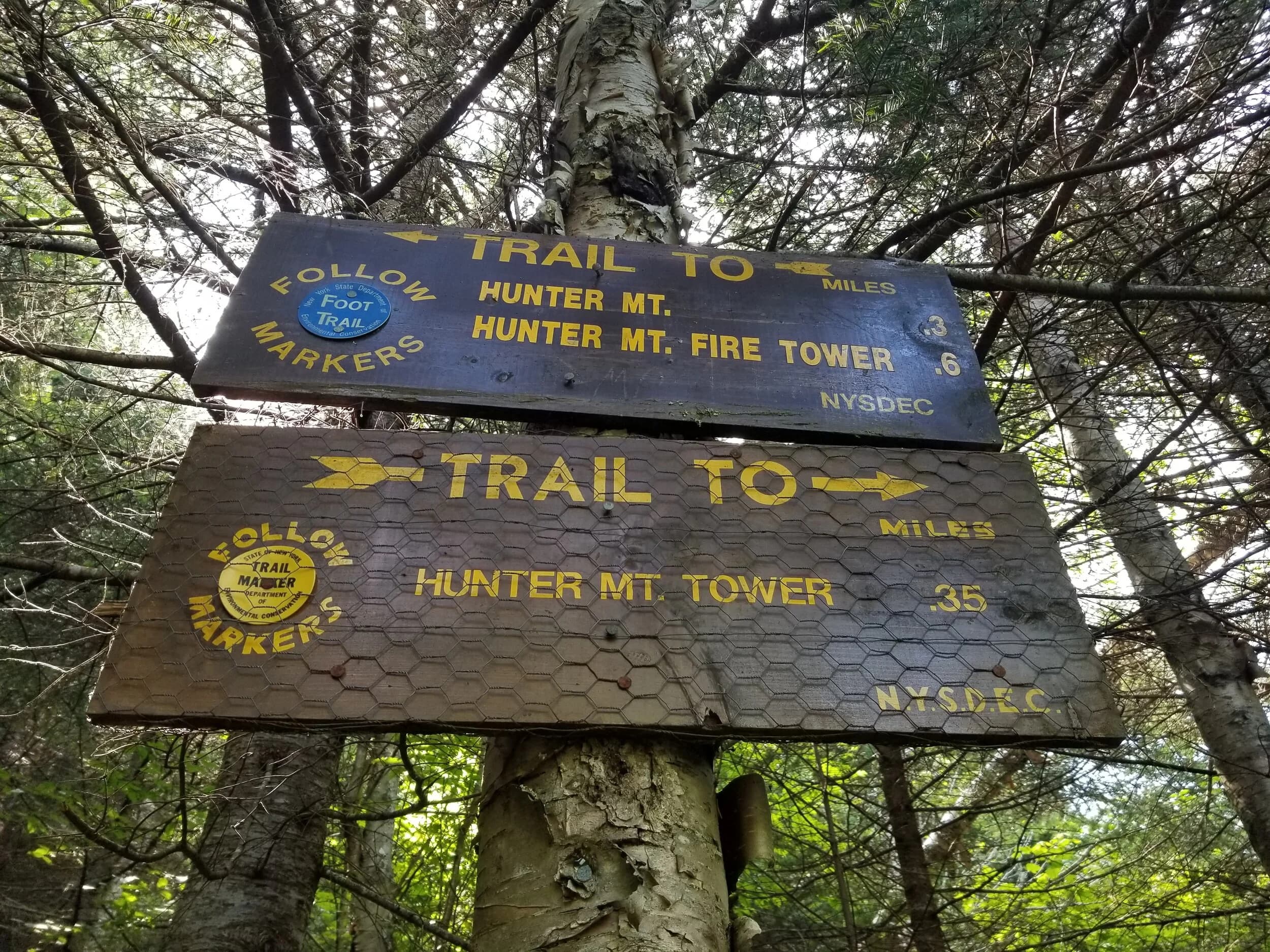 Hunter Mountain trail and views