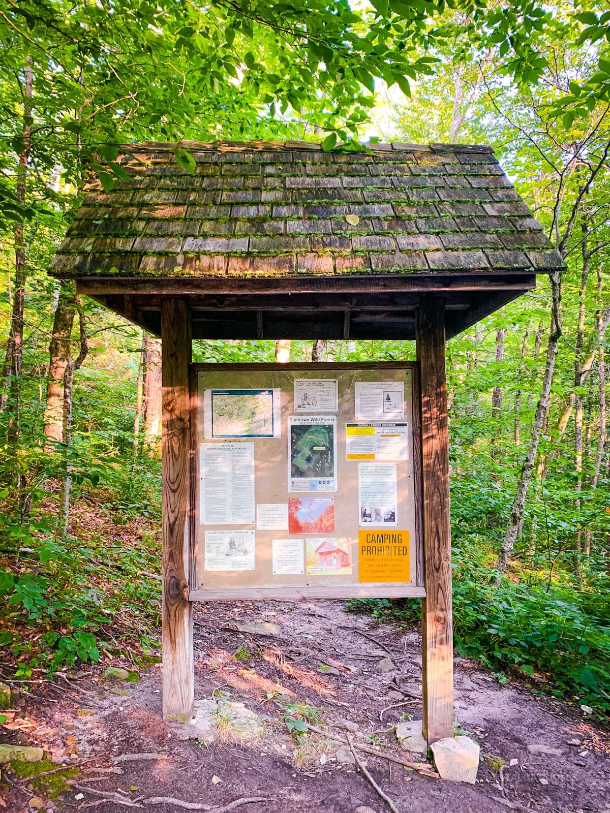Red Hill trail and landscape