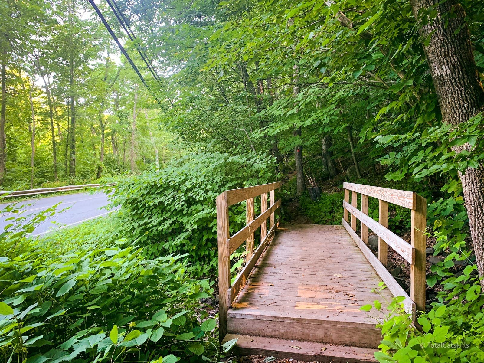 Tremper Mountain trail warning sign